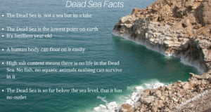 7 Interesting Facts About The Dead Sea That You Might Not Know Of