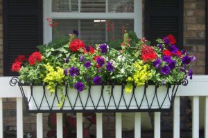 Building garden space 