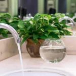 Washroom Décor -An ultimate guide on best plants to keep