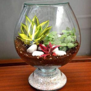 Terrarium